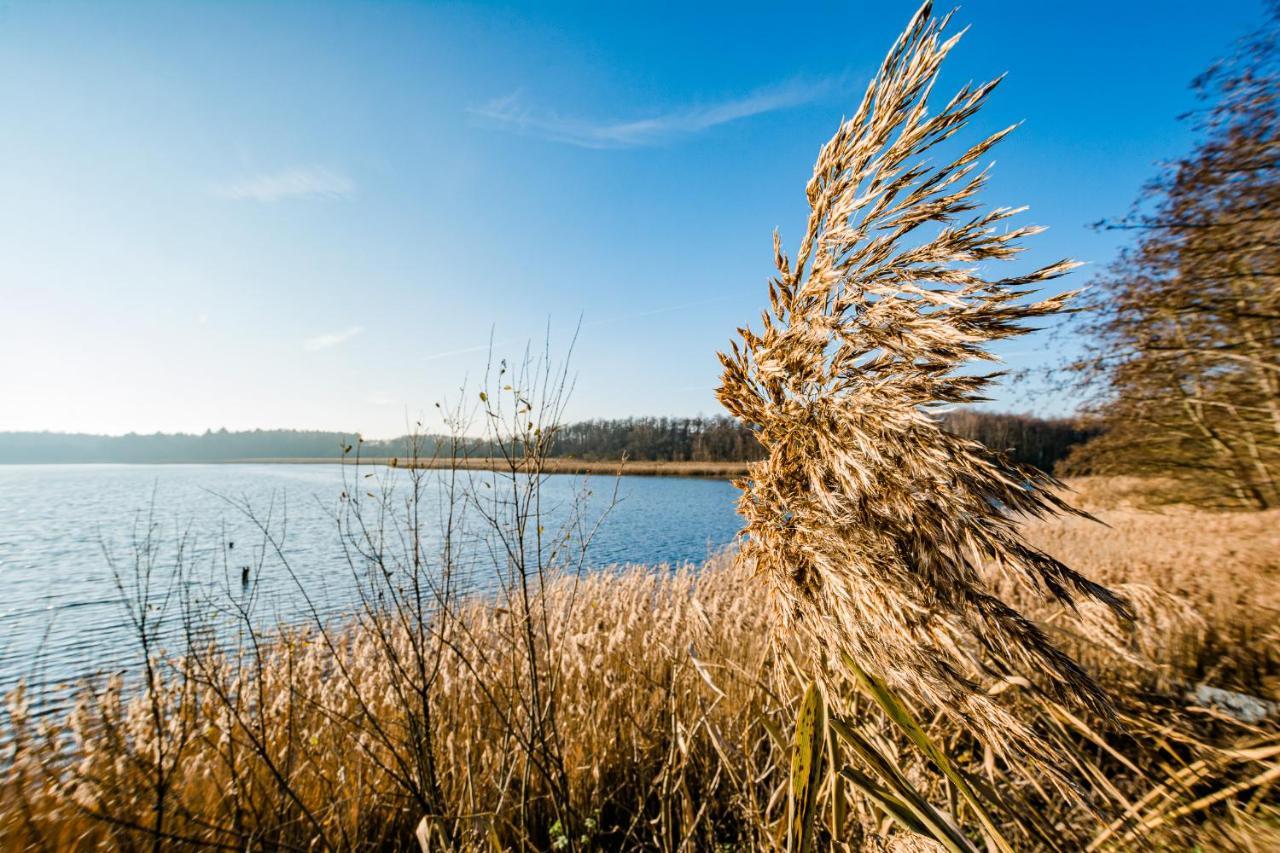 5 Sterne Ferienhaus Direkt Am See Mit Sauna-Kamin-Garten Krakow am See Exteriör bild